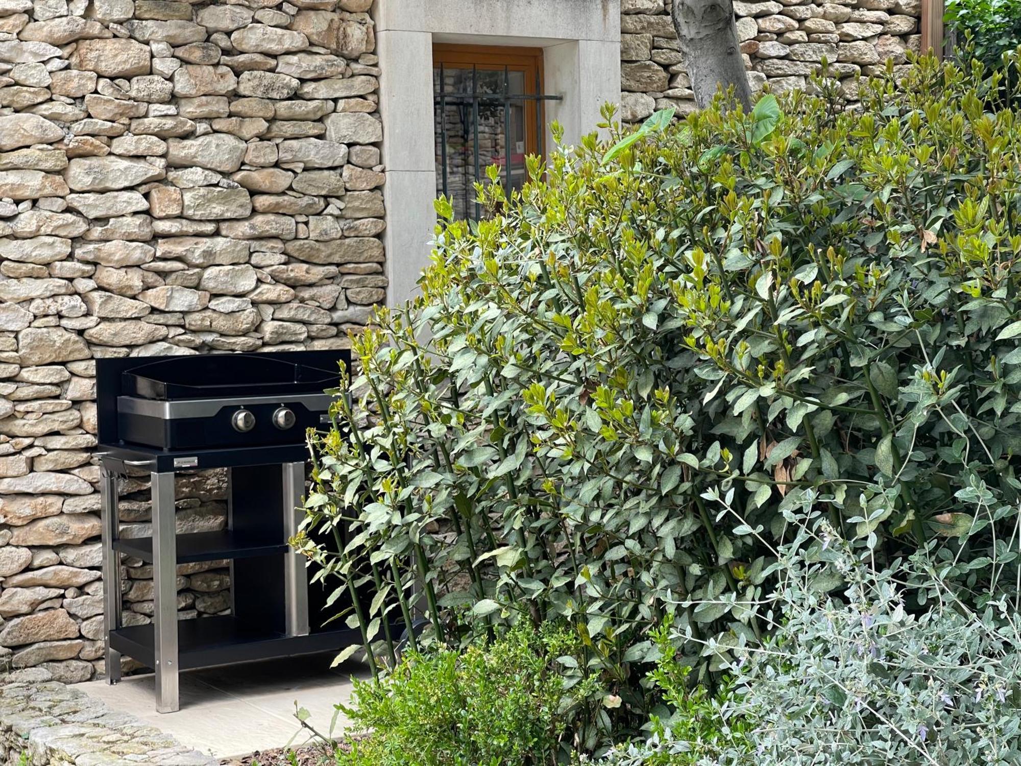 La Villa Baronnette Cabrieres-d'Avignon Bagian luar foto